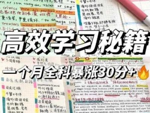 如何高效利用99 看？