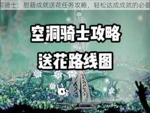 《空洞骑士：慰藉成就送花任务攻略，轻松达成成就的必备指南》