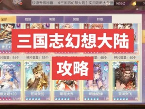 快速升级秘籍：《三国志幻想大陆》实用攻略大放送