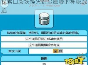 探索口袋妖怪火红金属膜的神秘踪迹