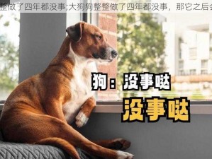 大狗狗整整做了四年都没事;大狗狗整整做了四年都没事，那它之后会怎样呢？