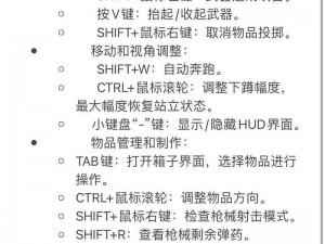 暗影：异教徒王国按键操作指南——快速上手游戏的必备秘籍