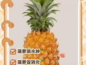 大菠萝导航福建app【请详细介绍一下大菠萝导航福建 app的功能及使用方法？】