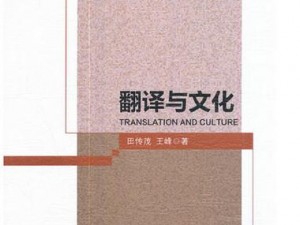 《从战场 2：非洲 1943菜单选项看中文翻译的准确性与文化适应性》