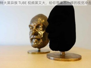 特大黑异族 TUBE 视频黑又大，给你带来不一样的视觉冲击