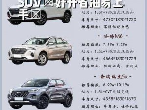 国产 SUV 精品一区二区 883：智能驾驶，畅享无限可能