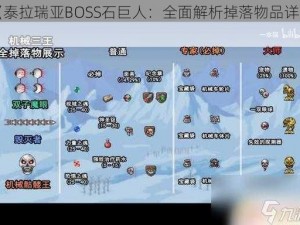 《泰拉瑞亚BOSS石巨人：全面解析掉落物品详情》