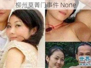 柳州莫菁门事件 None