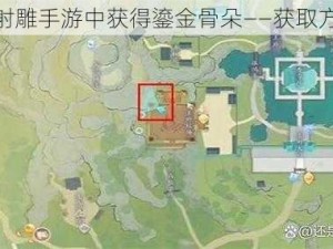 如何在射雕手游中获得鎏金骨朵——获取方法详解