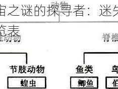 我是宇宙之谜的探寻者：迷失深空的答案一览表