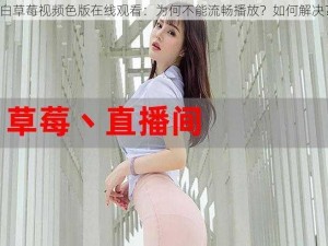 白草莓视频色版在线观看：为何不能流畅播放？如何解决？