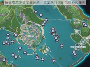 原神海露花高效采集攻略：完美路线图助你轻松收集资源