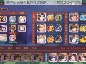 少年三国志新手礼包领取攻略：礼品码获取及使用方法