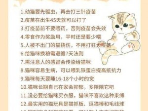 全民救猫咪安装与配置指南：实用教程与操作详解