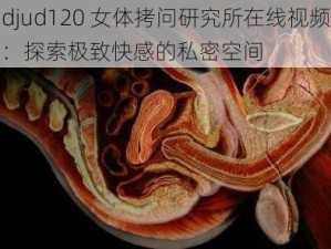 djud120 女体拷问研究所在线视频：探索极致快感的私密空间