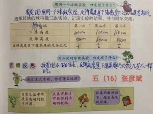 探究三文鱼弹弹弹更高叠加高度的关键方法