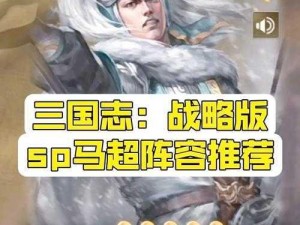 三国志战略版：马术培养精英武将推荐指南，训马高手必备攻略