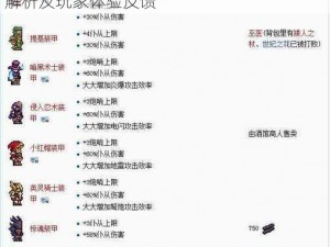 泰拉瑞亚魔晶风暴制作详解：属性强大与否解析及玩家体验反馈