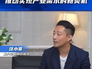 麻花传媒 CEO 到底有何秘诀？带你揭秘成功背后的故事