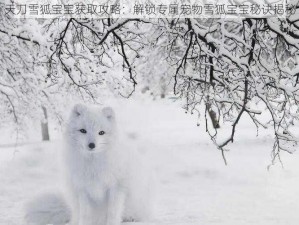 天刀雪狐宝宝获取攻略：解锁专属宠物雪狐宝宝秘诀揭秘