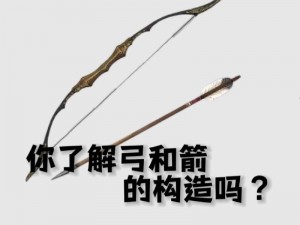 箭舞风云间：揭秘射手技能选择，提升生存能力的关键秘诀