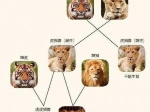 为什么萌兽世界的动物如此可爱？如何在萌兽世界中与动物互动？萌兽世界的动物有哪些独特的行为？