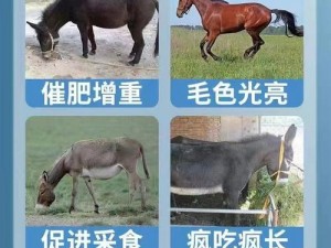 傻大壮长的驴一样的东西——新型高效饲料，让你的养殖更轻松