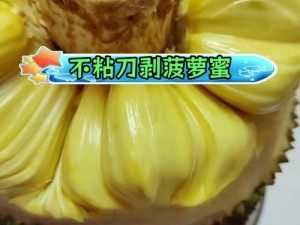 菠萝菠萝蜜视频免费看 5，为何看不了？如何解决？