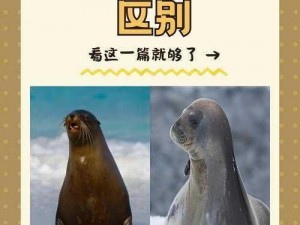 いっぱい和たっぷり的区别——容量大不同