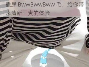 撒尿 BwwBwwBww 毛，给你带来清新干爽的体验