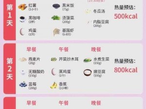 玛娜希斯回响：鲜汤煲食谱配方大揭秘，让你轻松成为料理大师