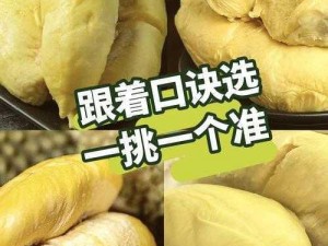 榴莲草莓芒果菠萝香蕉幸福宝，水果与坚果的完美结合，带给你前所未有的口感体验