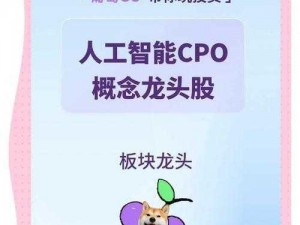 火爆全球的次次挨揍 CPO 要下架了，一款让你爱不释手的神奇产品