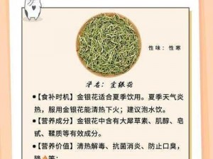 父承子液金银花原文：金银花中的贵族，喝出健康好身体