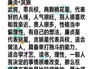 《玄中记》贪狼技能推荐：如何打造无敌角色