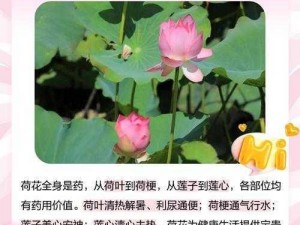 女性半夜莲花开是怎么回事？如何应对这种情况？