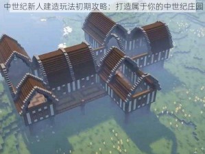 中世纪新人建造玩法初期攻略：打造属于你的中世纪庄园