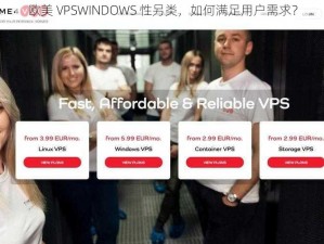 欧美 VPSWINDOWS 性另类，如何满足用户需求？