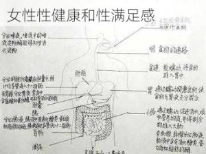 手从小腹一路开到丛林处的寓意，是探索女性身体的奥秘，了解女性身体的敏感点，提升女性性健康和性满足感