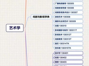 13 艺术学包括艺术史论、音乐与舞蹈学、戏剧与影视学等专业