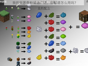 我的世界骨粉用途广泛，你知道怎么用吗？