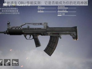 绝地求生 QBU 性能实测：它是否能成为你的吃鸡神器？