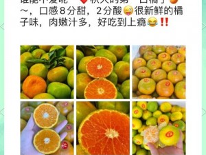 蜜橘 APP 真的好用吗？如何解决使用过程中遇到的问题？