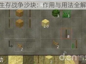 《生存战争沙块：作用与用法全解析》