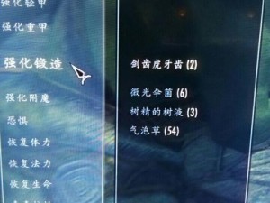 上古卷轴 5：自制 BSA 文件识别技巧大揭秘