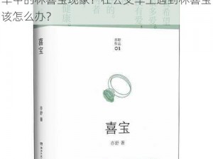 为什么公交车上会有林喜宝？如何看待公交车中的林喜宝现象？在公交车上遇到林喜宝该怎么办？