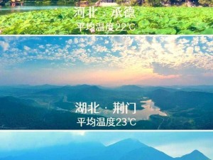 伊春园 2024 入口直达，一键畅享海量高清视频资源