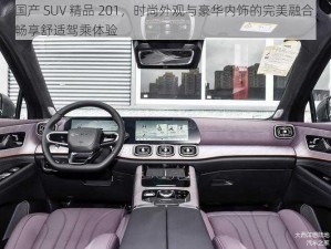 国产 SUV 精品 201，时尚外观与豪华内饰的完美融合，畅享舒适驾乘体验