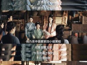 《长安西市风云：仙丽雅剧情揭示江湖恩怨》