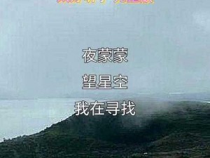 天美麻花星空视频mv,能否详细介绍一下天美麻花星空视频 mv 的创作背景和特点呢？